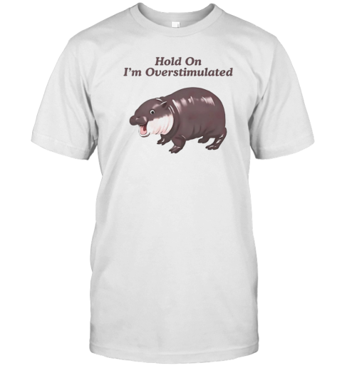 Moo Deng Hold On Partner Im Overstimulated T-Shirt