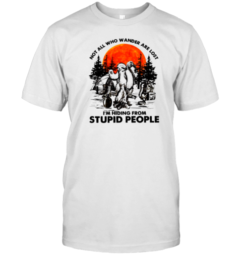 Not All Who Wander Are Lost Im Hiding From Stupid People T-Shirt