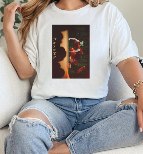 Mitski double exposure  Classic Womens T-shirt