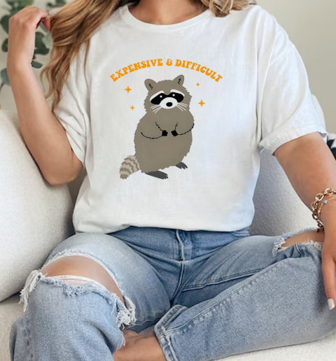 Expensive and difficult raccoon  Classic Womens T-shirt