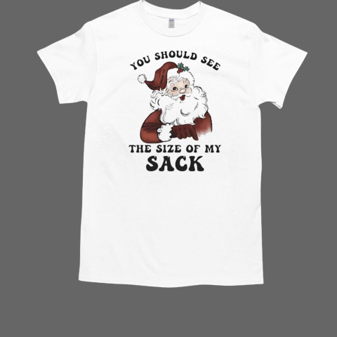 Santa you should see the size of my sack Christmas T-Shirt