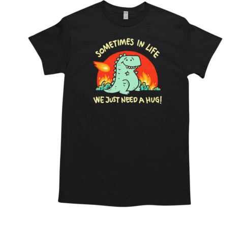 Sometimes in life we just need a hug dinosaur T-Shirt