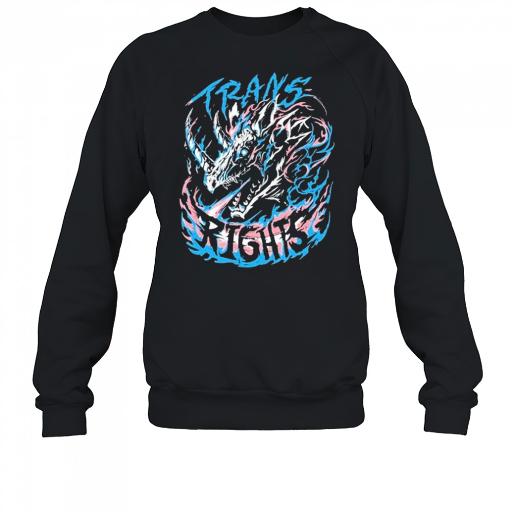 Trans Rights Dragon T-shirt Sweatshirt