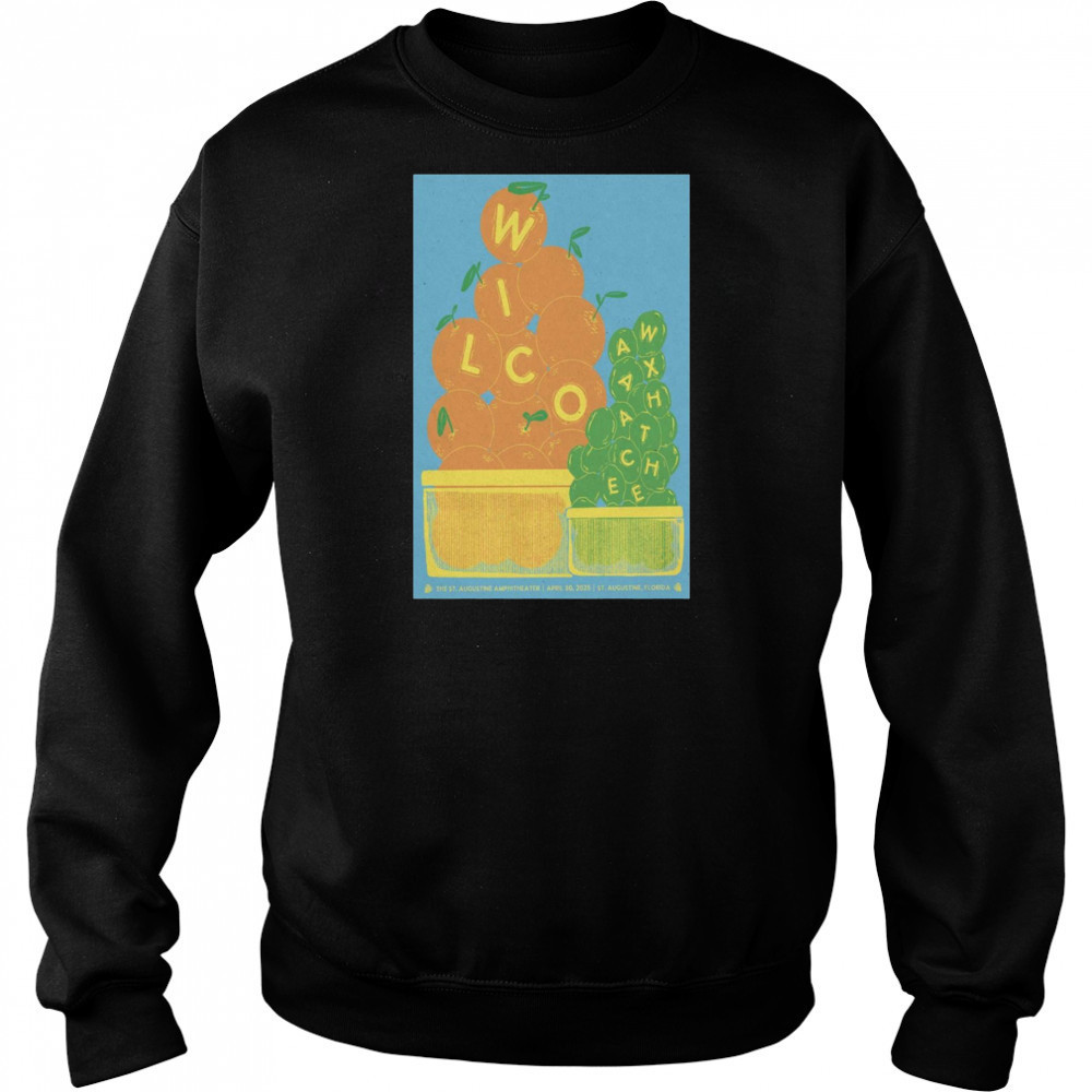 Wilco Saint Augustine Amphitheatre St Augustine FL April 30 2025 Tour t-shirt Hoodie