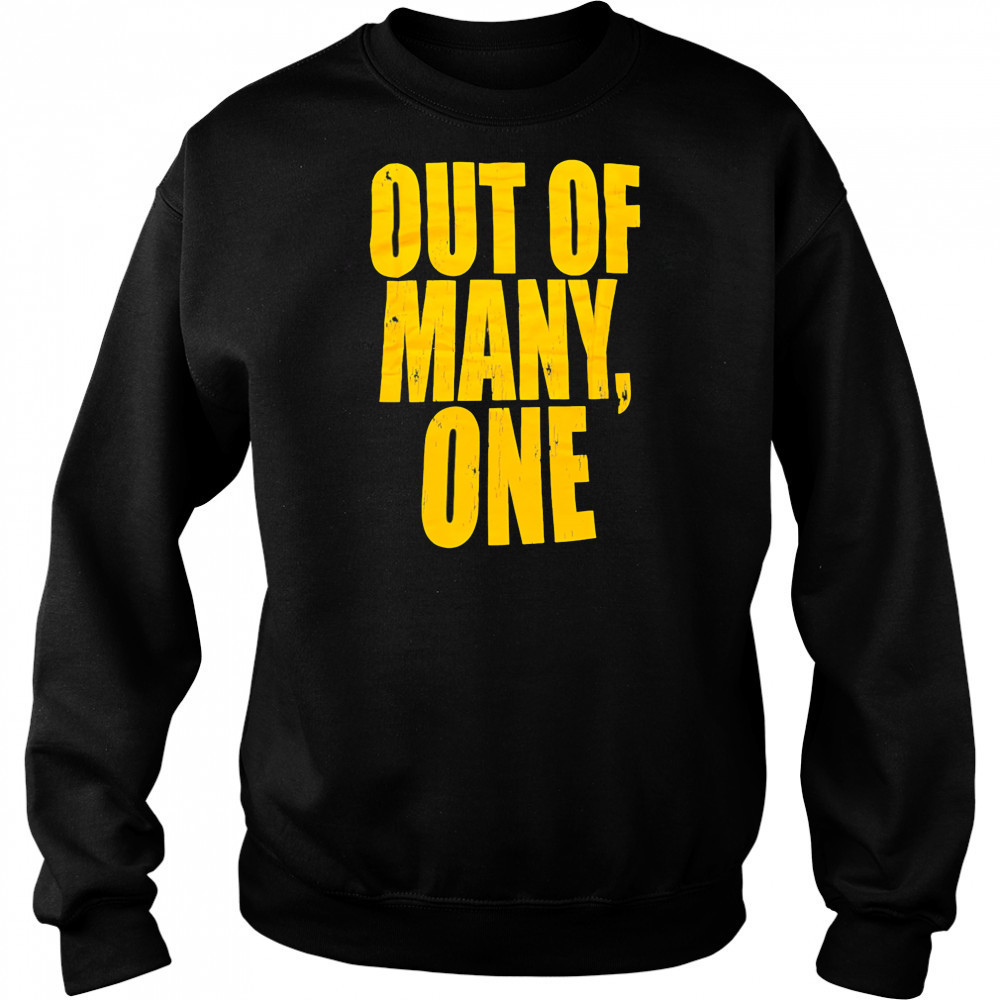 Out of many one shirt Hoodie