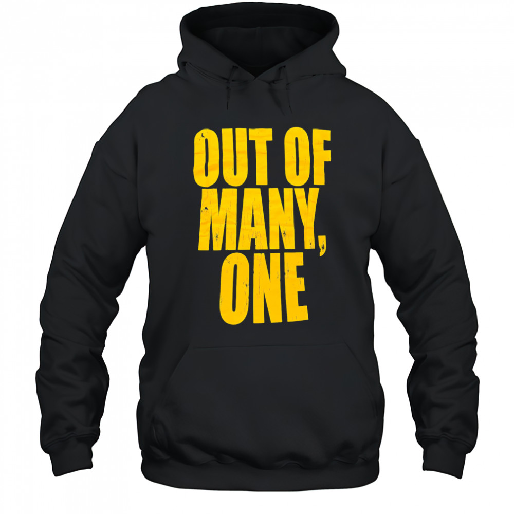 Out of many one shirt Hoodie