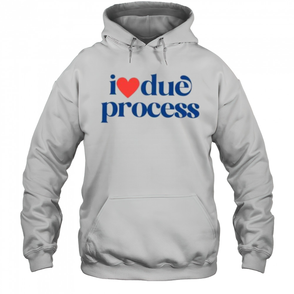 I love due process shirt Hoodie