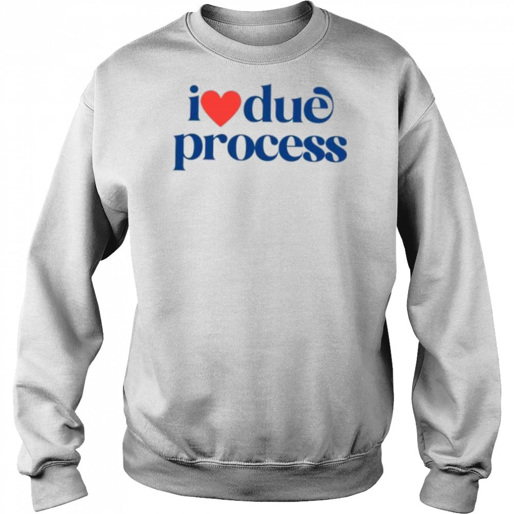I love due process shirt Hoodie