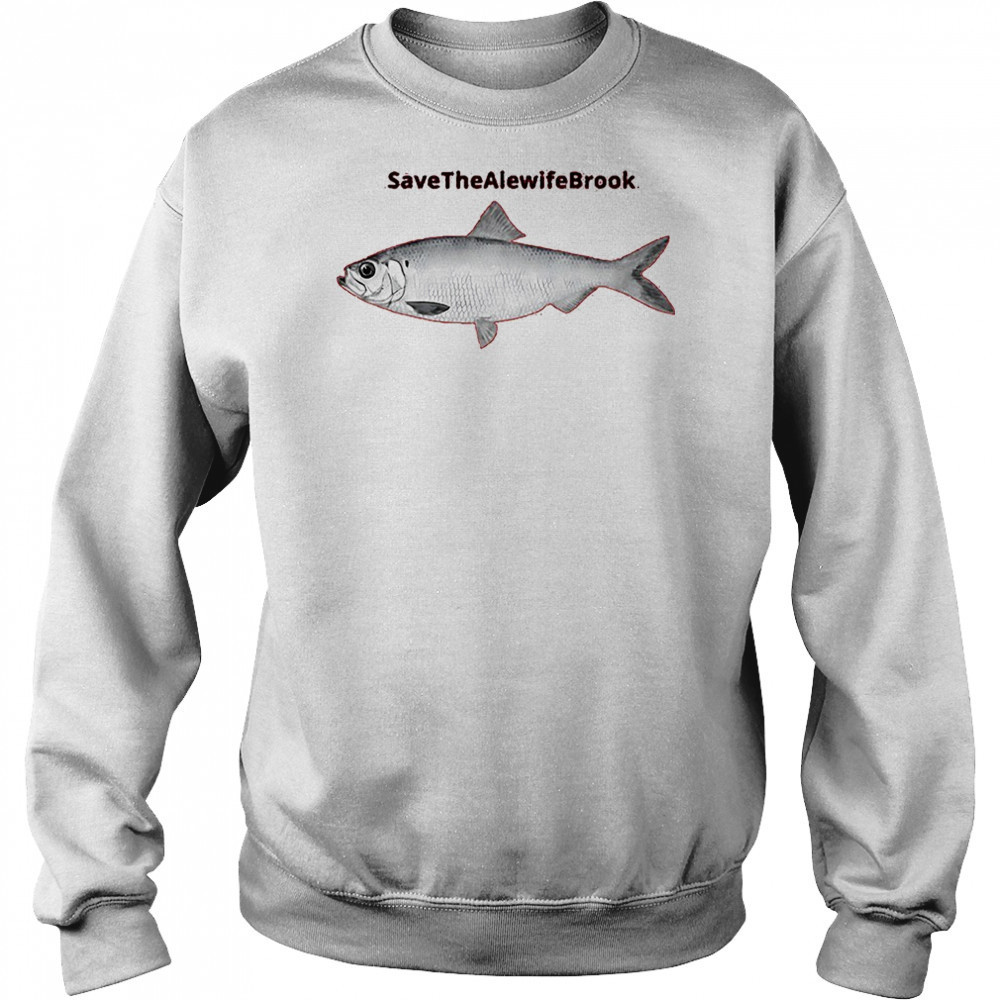 Save the alewife brook shirt Hoodie