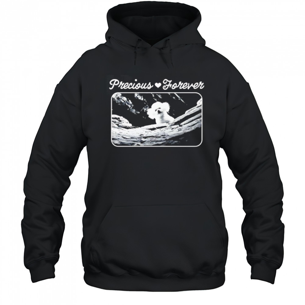 Precious forever shirt Hoodie