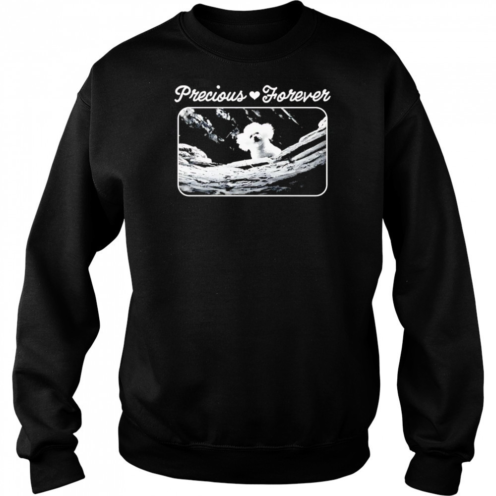 Precious forever shirt Hoodie