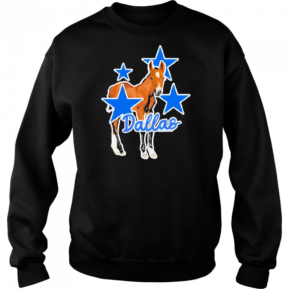 Dallas equestrian champion tribute shirt Hoodie