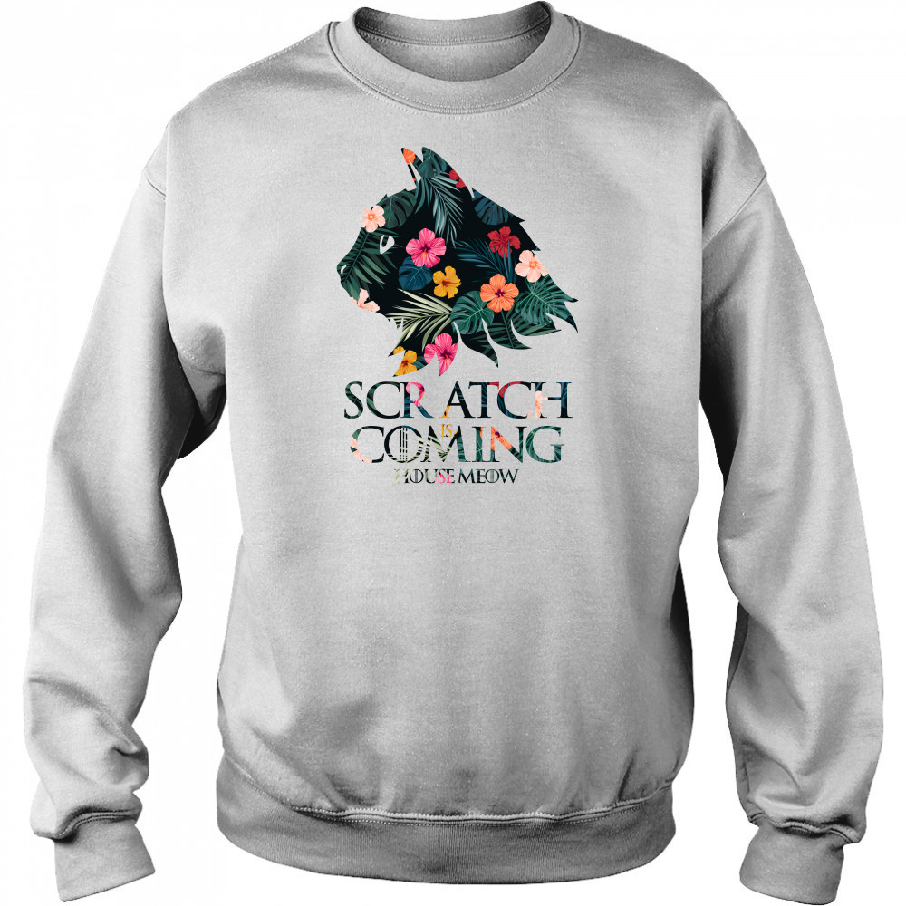 Game of Thrones scratch is coming house meow Cat Drago Hoodie