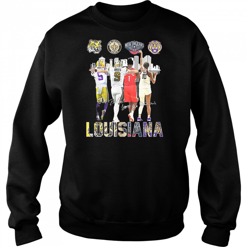 Louisiana team sport 2025 Skyline City signatures shirt Hoodie