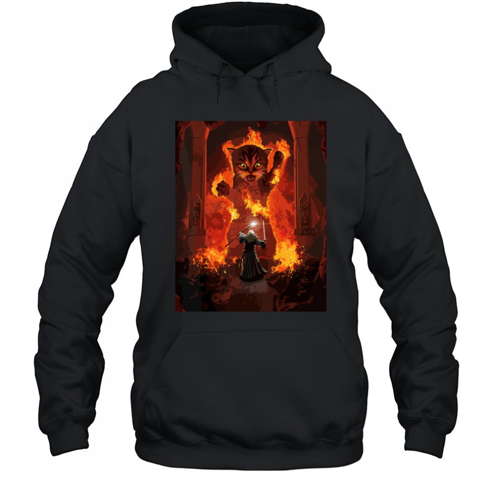 The Mountain Cat Gandalf You Shall Not Pass Fire Kitten Hoodie