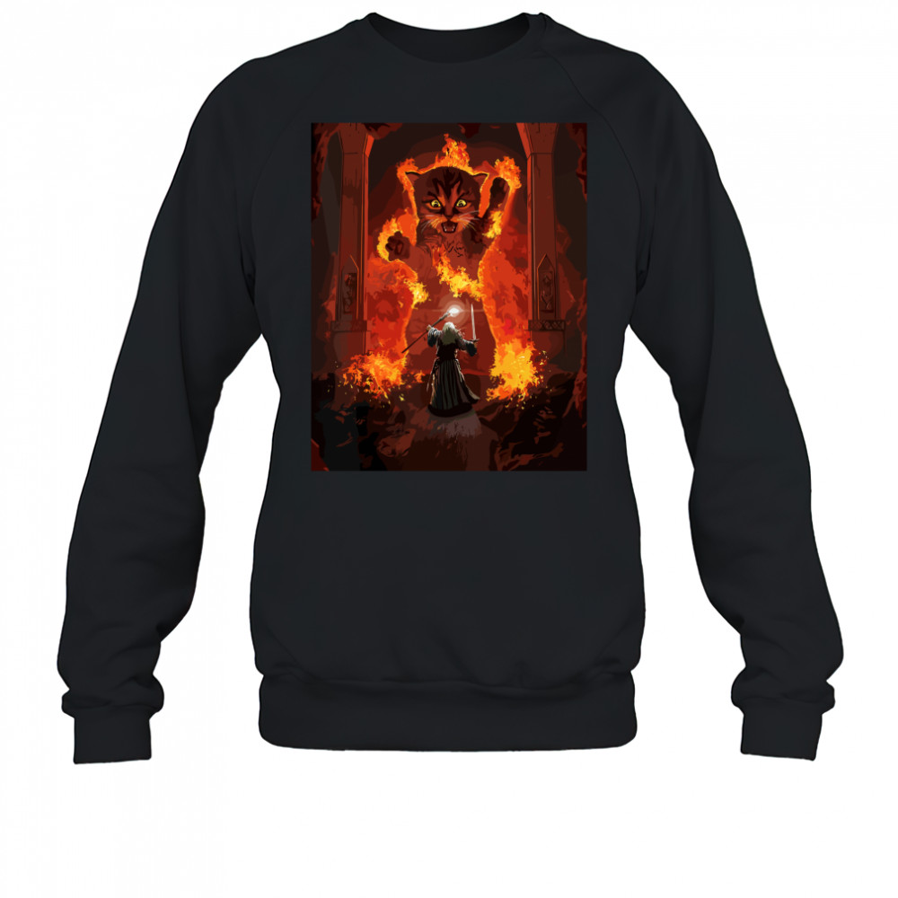 The Mountain Cat Gandalf You Shall Not Pass Fire Kitten Sweatshirt