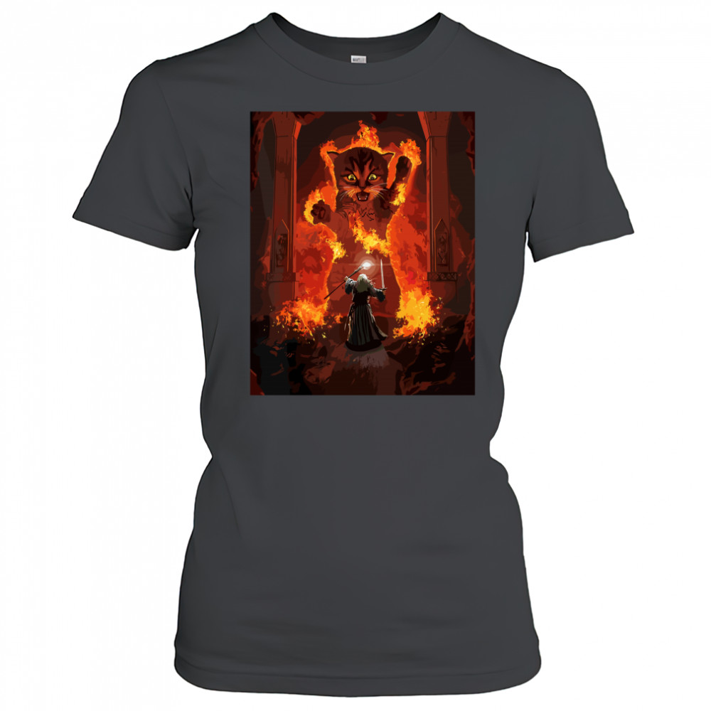 The Mountain Cat Gandalf You Shall Not Pass Fire Kitten Women's T-shirt