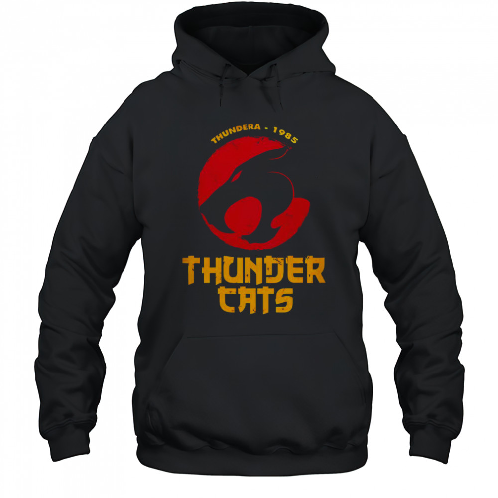 Official Thunder Cats 40th Anniversary Special T-Shirt Hoodie