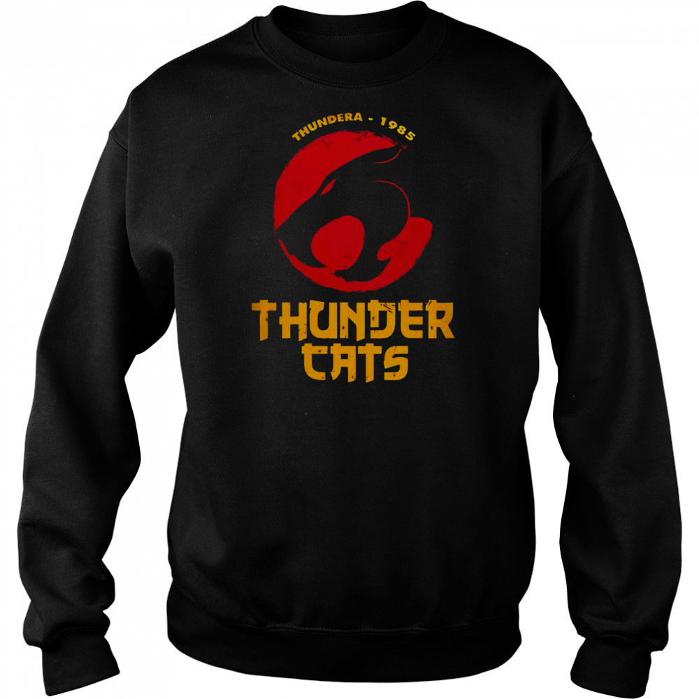 Official Thunder Cats 40th Anniversary Special T-Shirt Hoodie