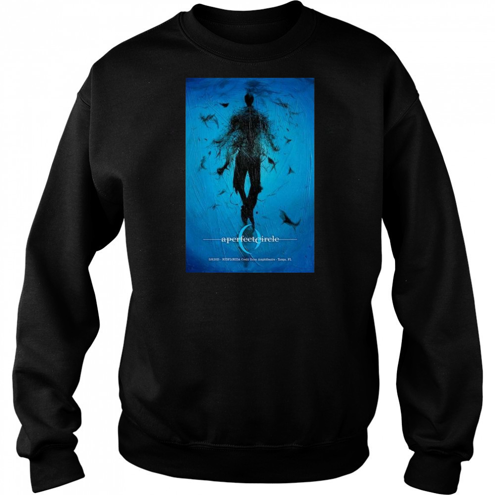 A Perfect Circle MIDFLORIDA Credit Union Amphitheatre, Tampa, FL May 8 2025 Concert t-shirt Hoodie