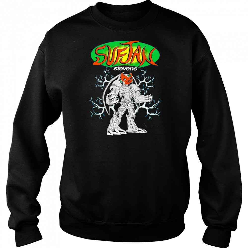 Sufjan Stevens Brian Robert Jones T-shirt Hoodie