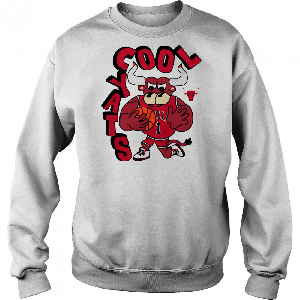 Chicago Bulls NBA x Staycool Mascot shirt Hoodie