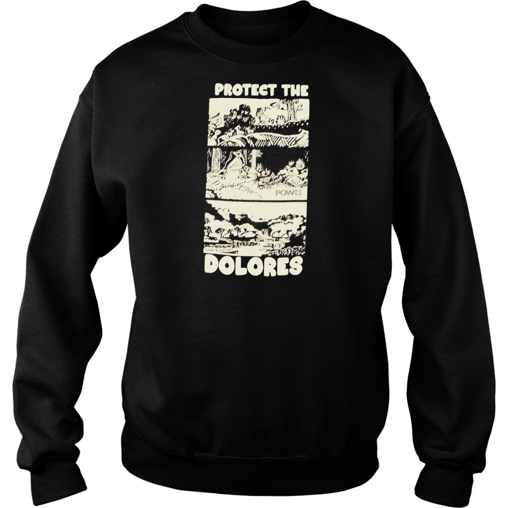 Protect The Dolores POW Protect Our Winters T-shirt Hoodie