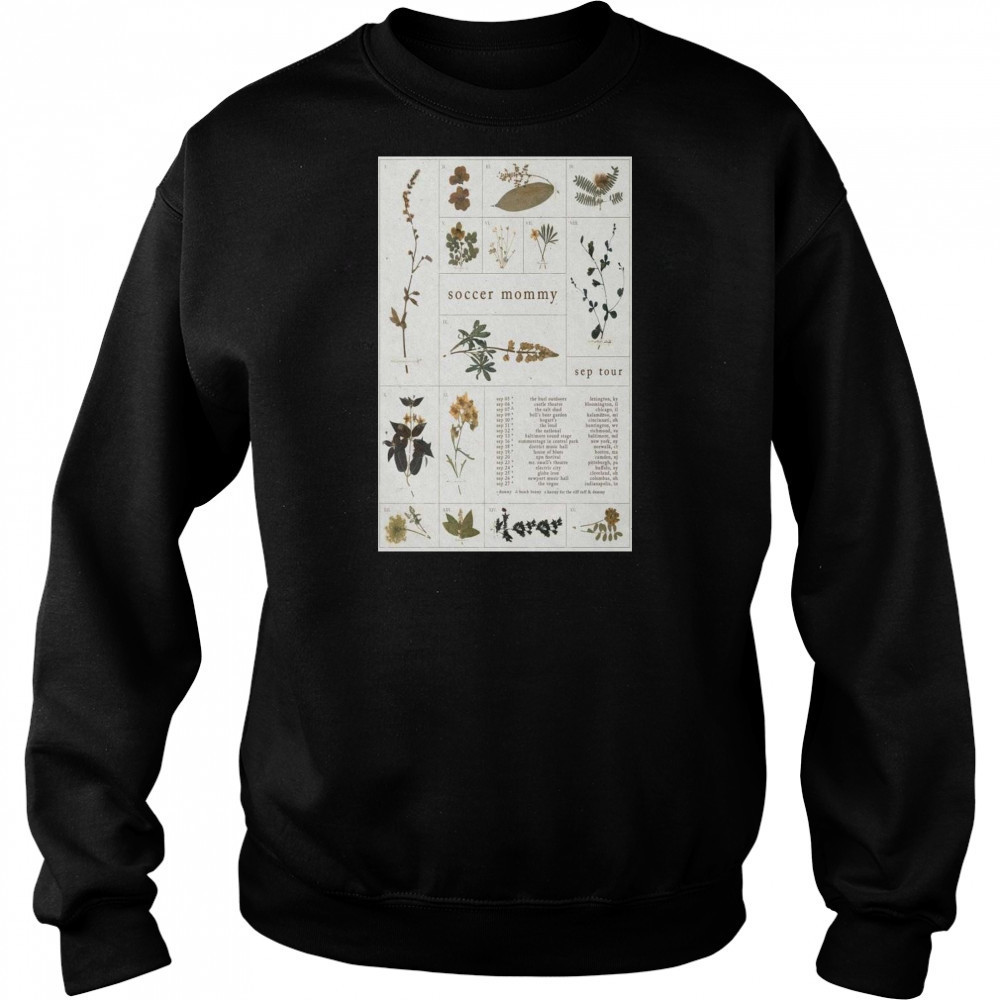 Soccer Mommy Sep Tour 2025 t-shirt Hoodie