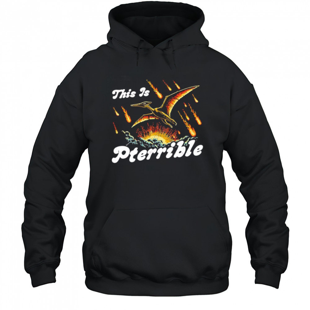 This is Pterrible shirt Hoodie