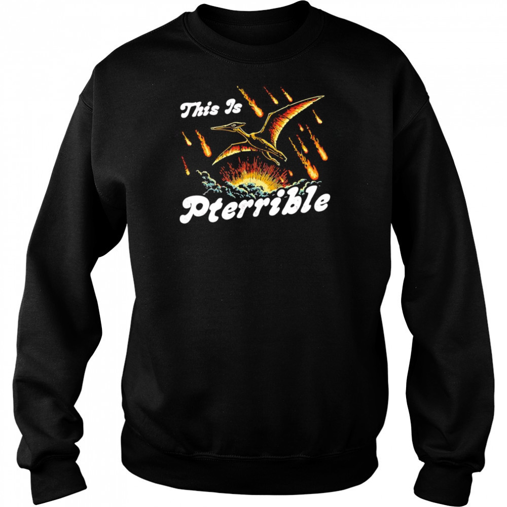 This is Pterrible shirt Hoodie