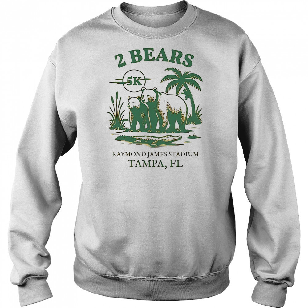 Two bears Raymond James Stadium Tampa FL shirt Hoodie