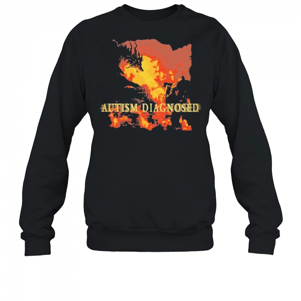 Autism Diagnosed T-shirt Sweatshirt