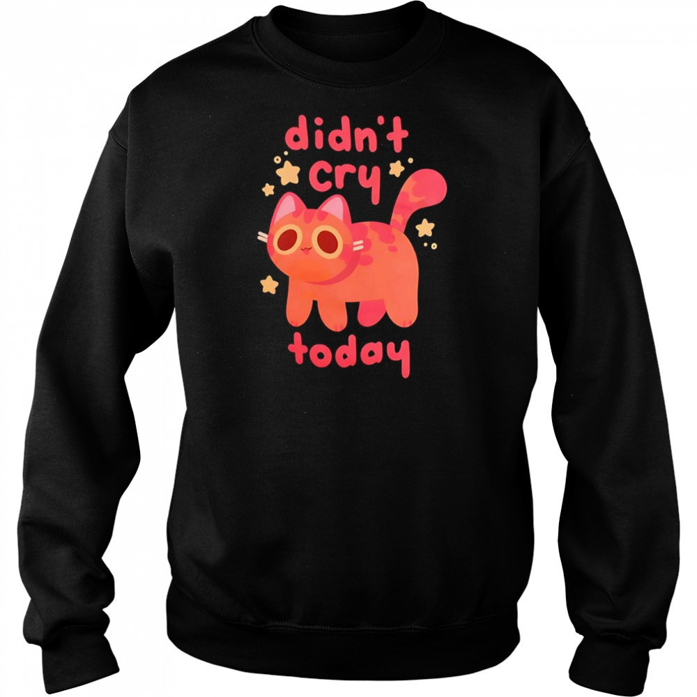Didn’t Cry Today Cat shirt Hoodie