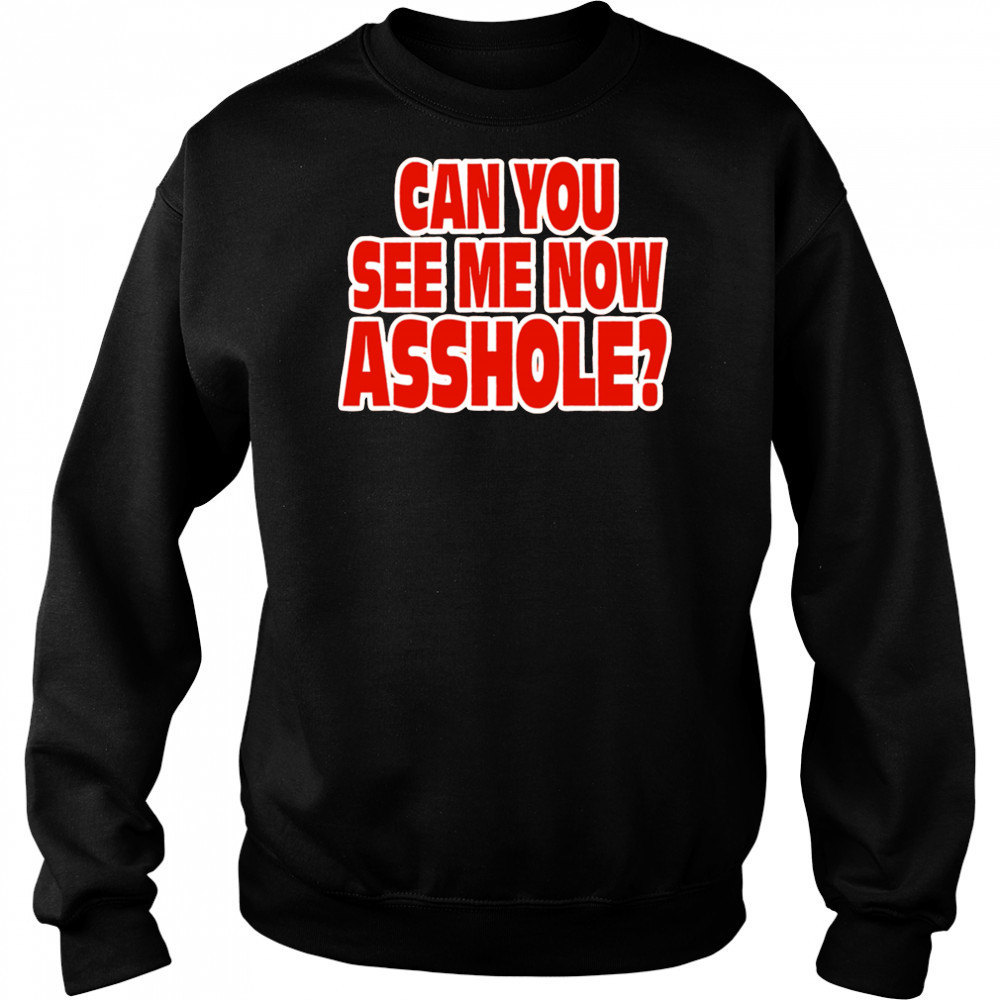 Can you see me now Asshole shirt Hoodie