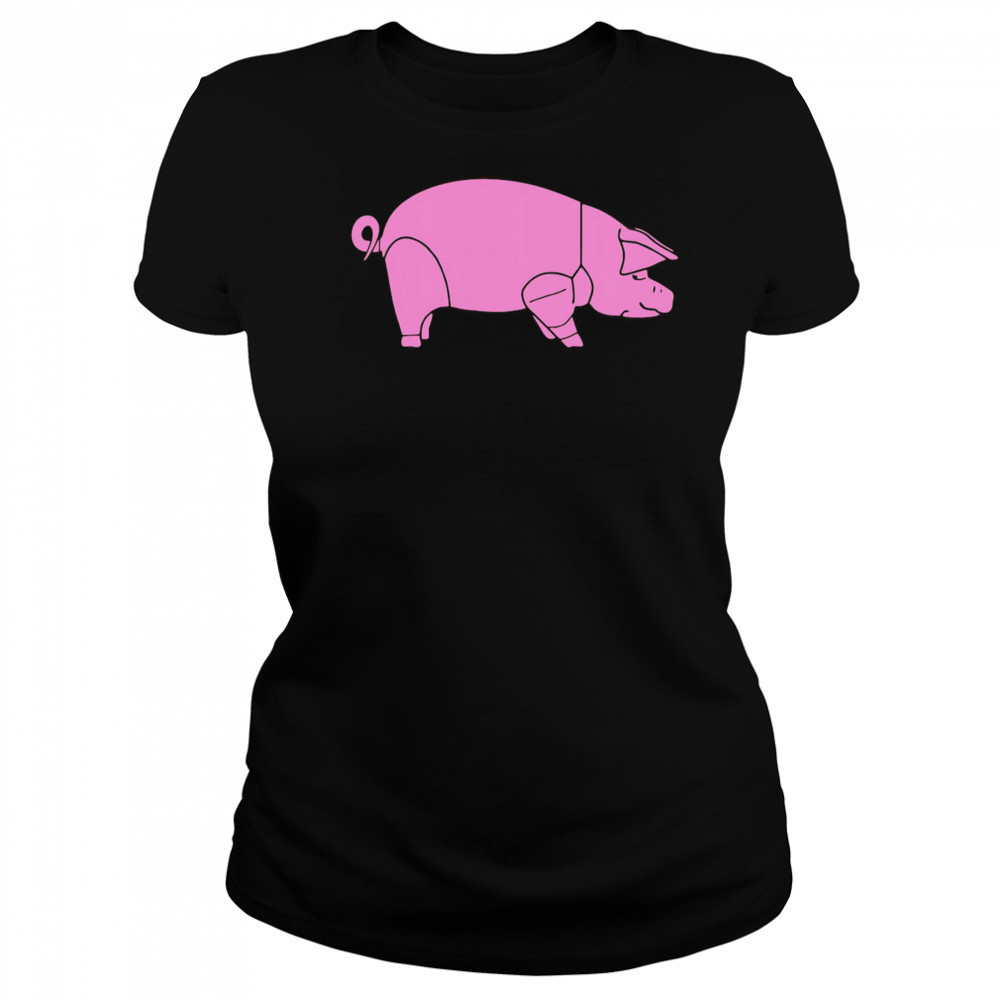 Pig As Worn shirt Women's T-shirt