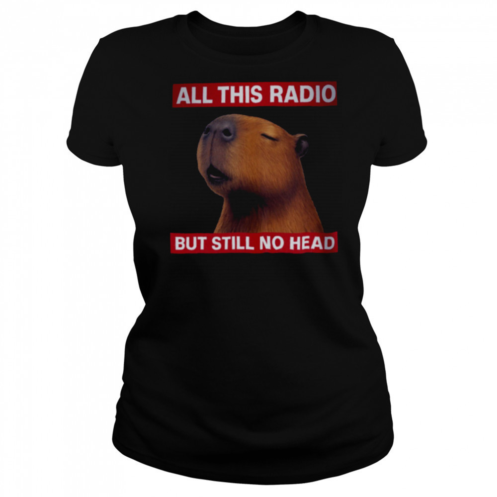 All This Radio But Still No Head Capybara Parody T Shirt Women's T-shirt