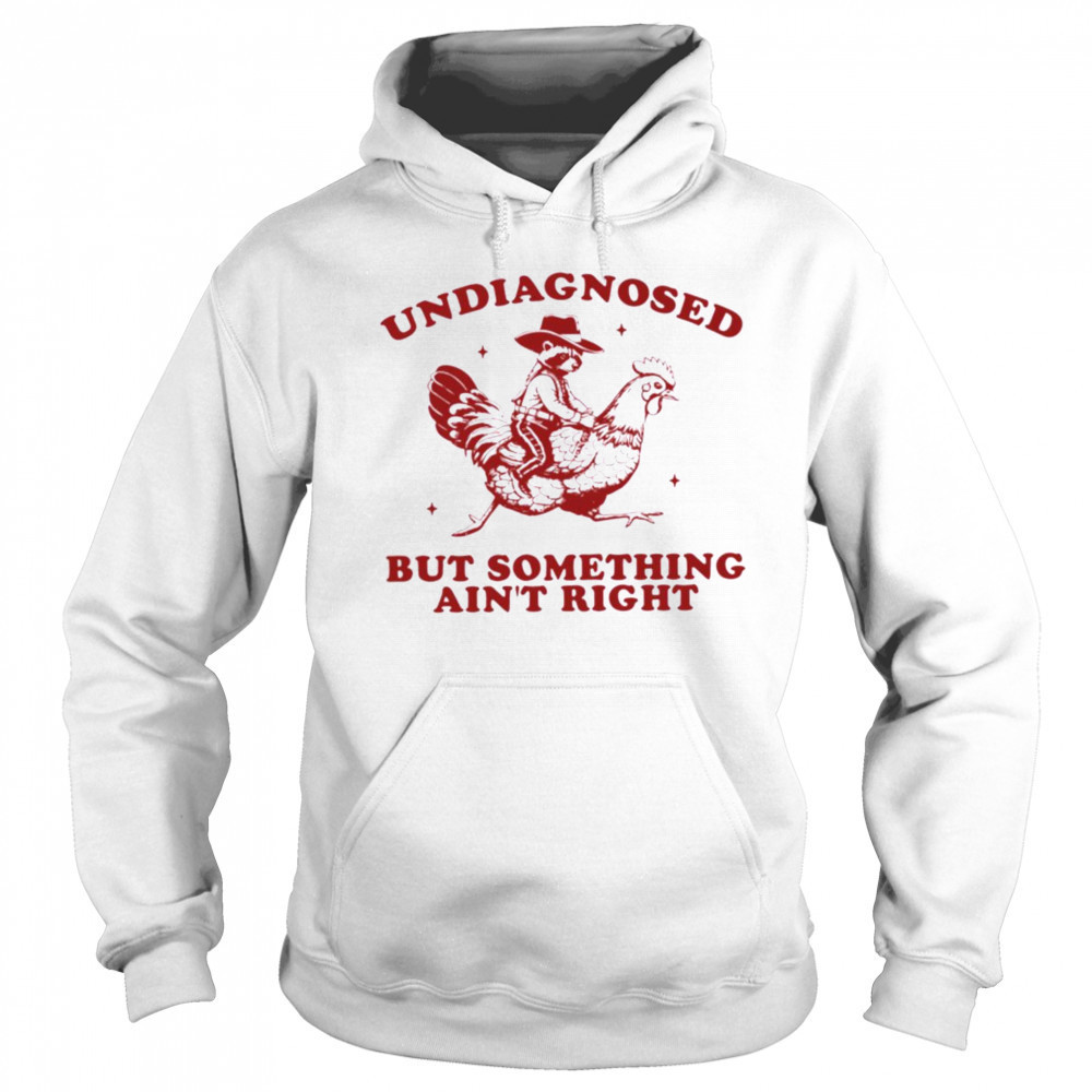 Undiagnosed But Something Ain’t Right Raccoon Riding Chicken T Shirt Sweatshirt