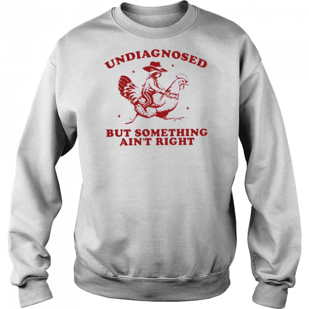 Undiagnosed But Something Ain’t Right Raccoon Riding Chicken T Shirt Hoodie
