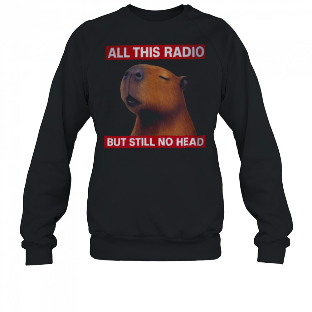 All This Radio But Still No Head Capybara Parody T Shirt Sweatshirt
