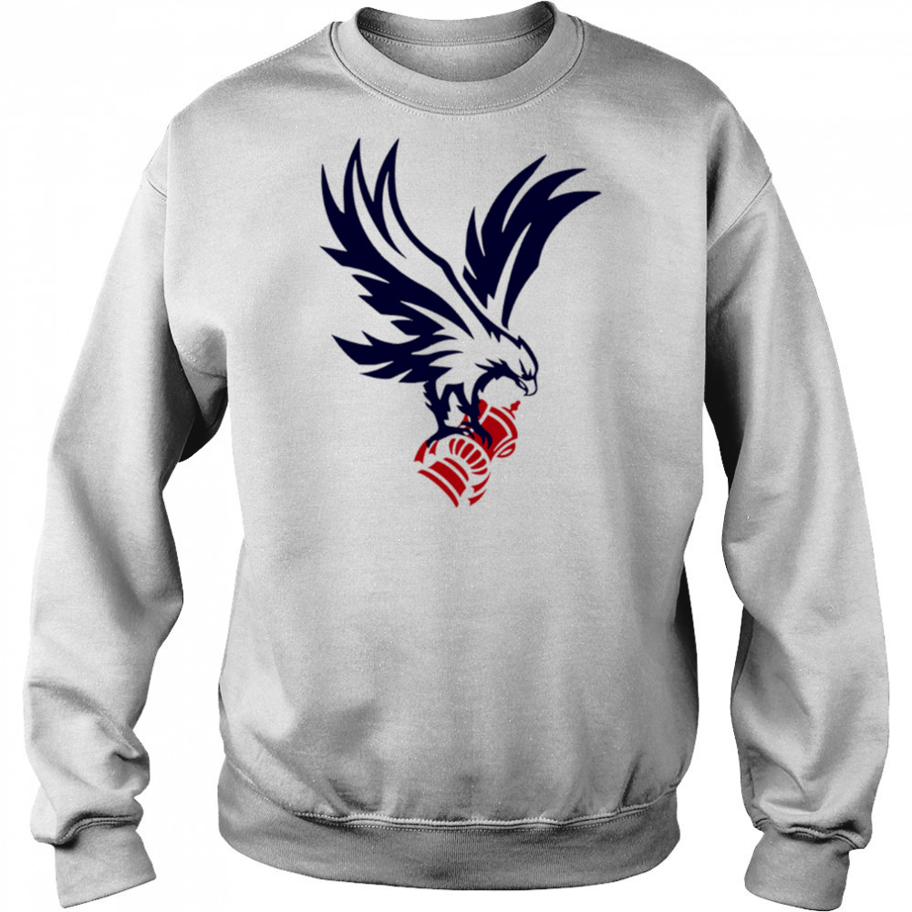Crystal Palace F.C. Cup winner 2025 shirt Hoodie
