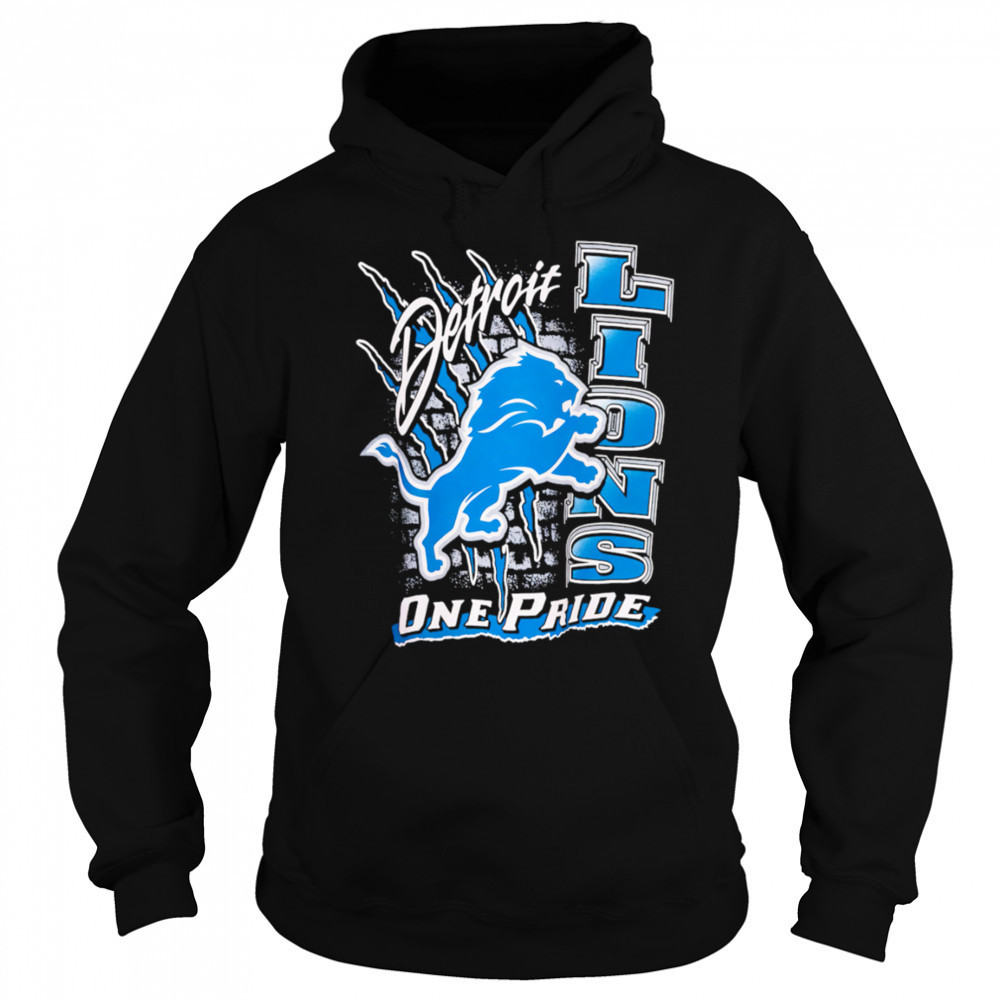 Detroit Lions One Pride Vintage shirt Sweatshirt