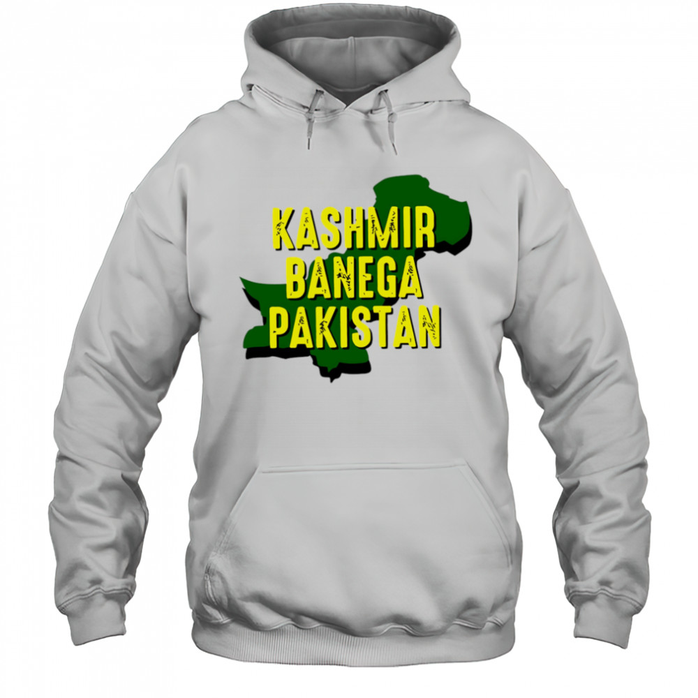I Stand With Pakistan Kashmir shirt Hoodie
