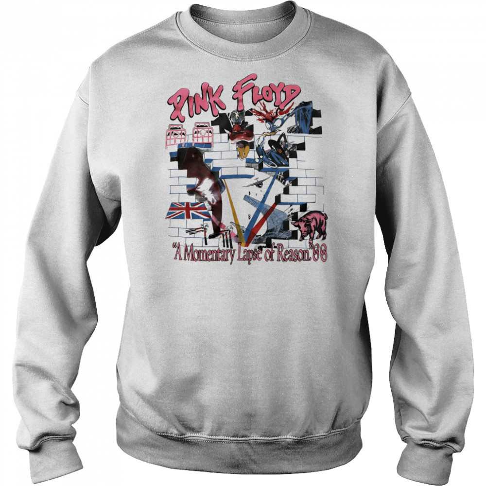 Pink Floyd a momentary lapse of reason shirt Hoodie