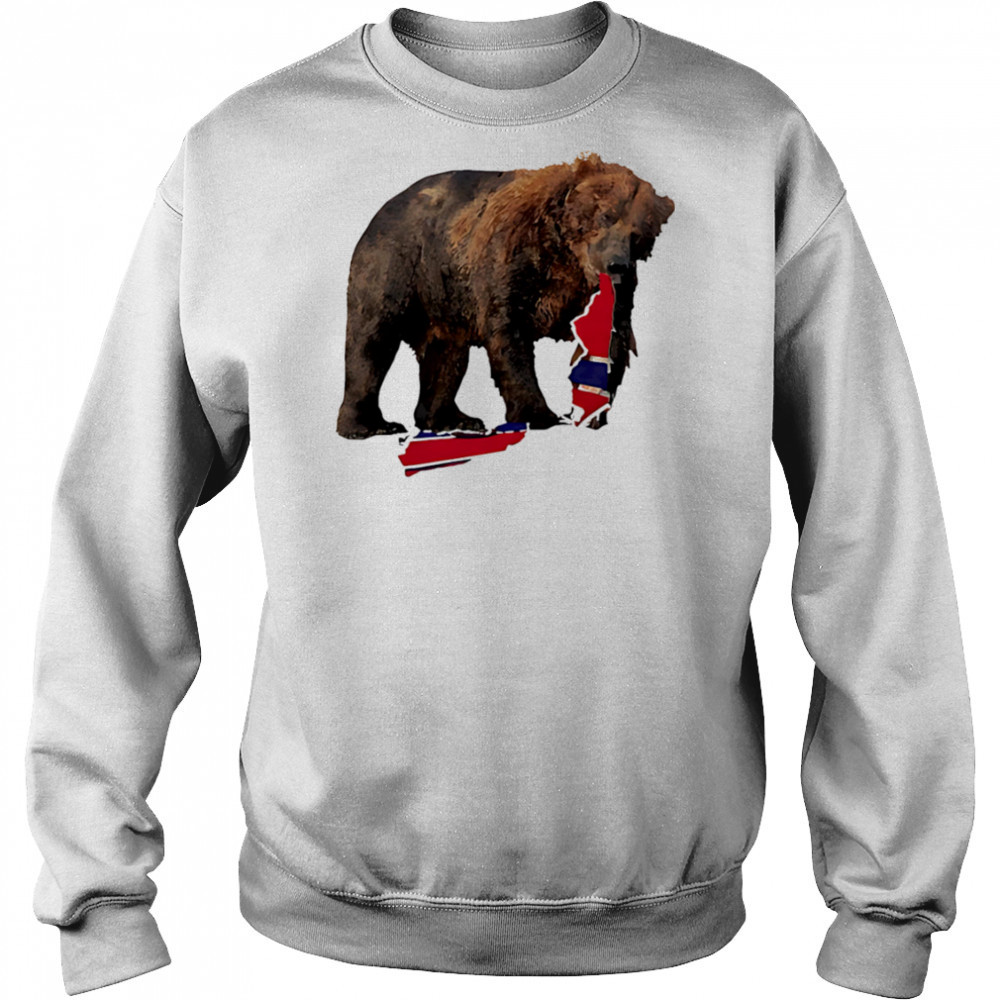 Awesome Bear Bruin Hockey Boston shirt Hoodie