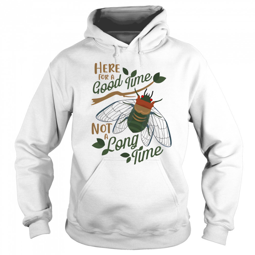 Cicadas here for a good time not a long time shirt Sweatshirt