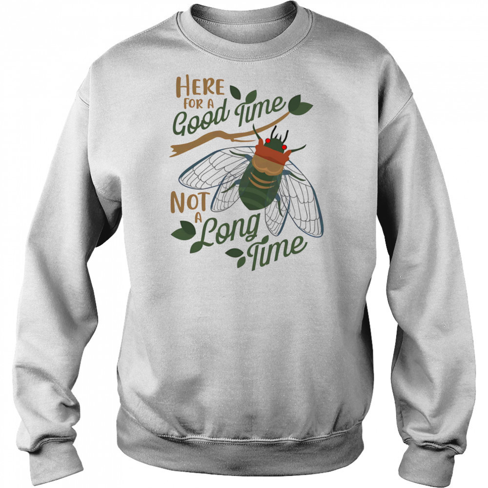 Cicadas here for a good time not a long time shirt Hoodie