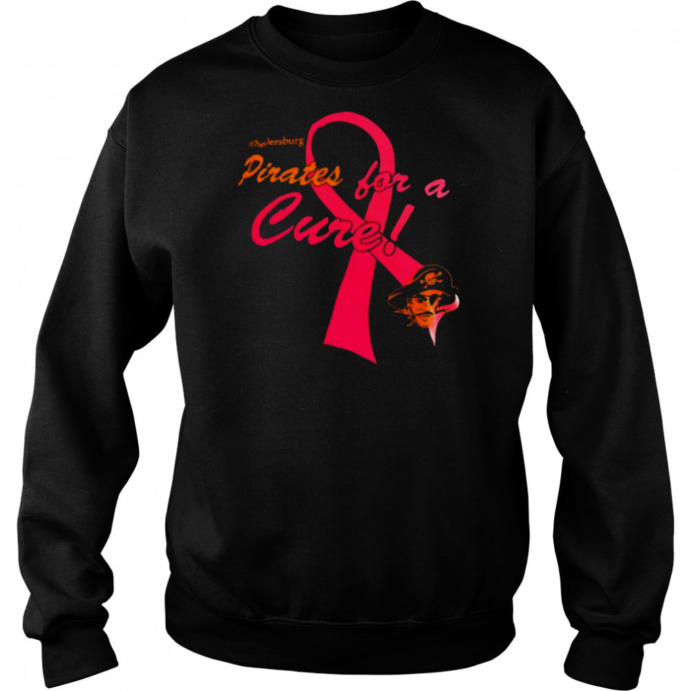 Wheelersburg Pirates for a cure autism awareness shirt Hoodie