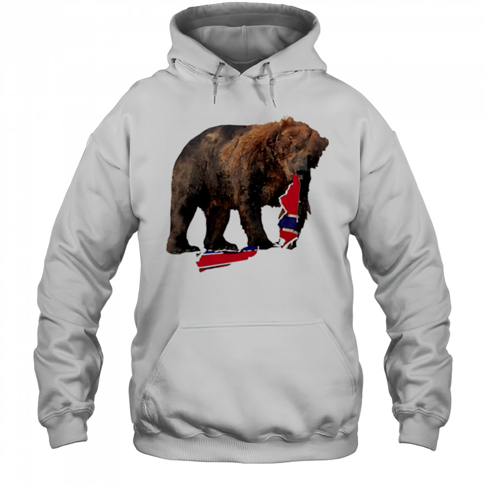 Awesome Bear Bruin Hockey Boston shirt Hoodie