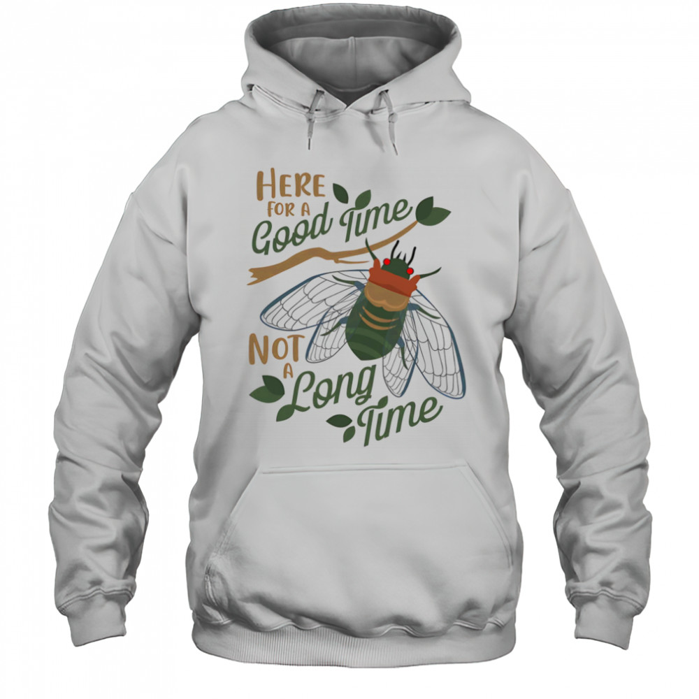 Cicadas here for a good time not a long time shirt Hoodie