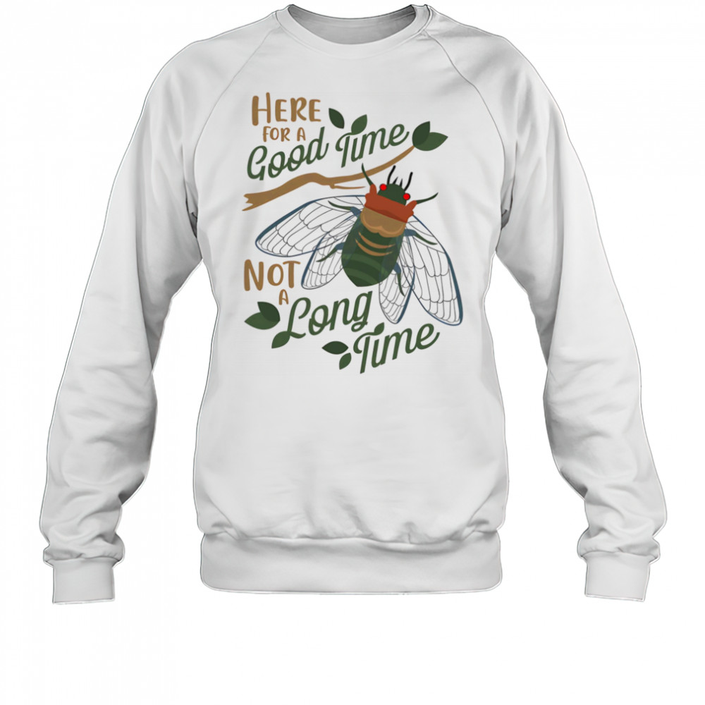 Cicadas here for a good time not a long time shirt Sweatshirt